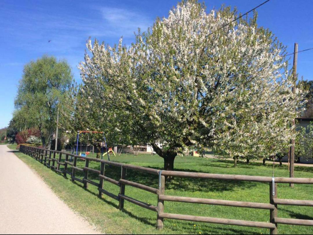 Azienda Agrituristica Scotti Somma Lombardo Buitenkant foto