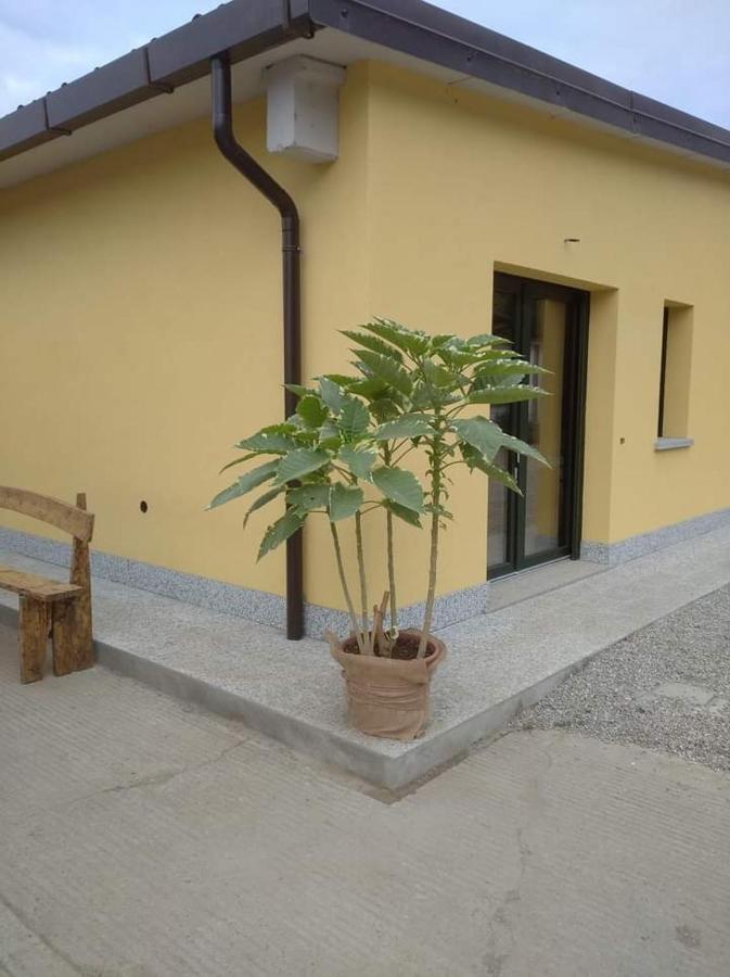 Azienda Agrituristica Scotti Somma Lombardo Buitenkant foto
