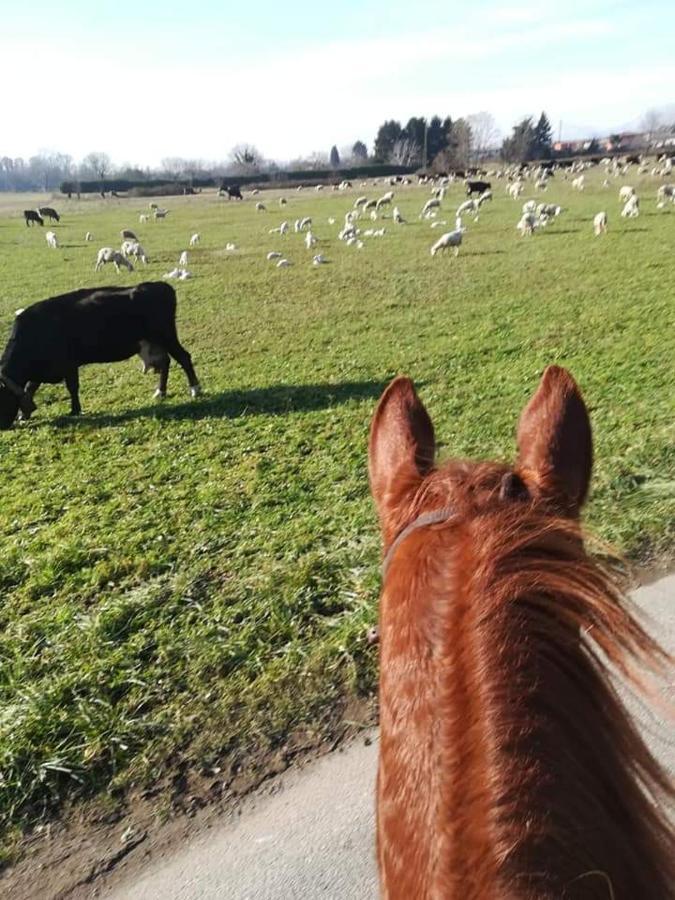Azienda Agrituristica Scotti Somma Lombardo Buitenkant foto