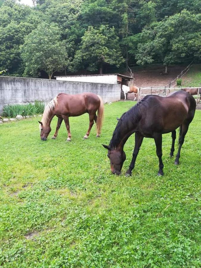 Azienda Agrituristica Scotti Somma Lombardo Buitenkant foto